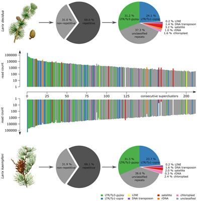 Comparative Repeat Profiling of Two Closely Related Conifers (Larix decidua and Larix kaempferi) Reveals High Genome Similarity With Only Few Fast-Evolving Satellite DNAs